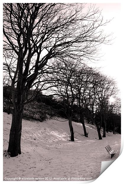 Trees in the Snow Print by Elizabeth Wilson-Stephen
