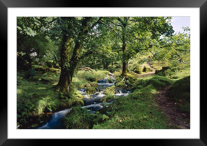 A stream flowing down to Norsworthy Bridge, Dartmo Framed Mounted Print by Simon Armstrong