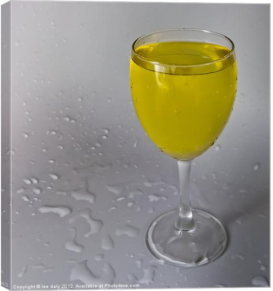 Glass of wine. Canvas Print by Lee Daly