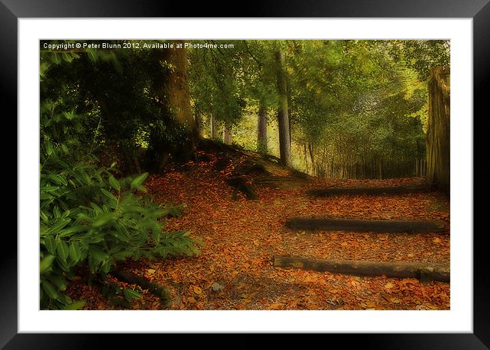 Autumn's Golden woodland Pathway #2 Framed Mounted Print by Peter Blunn