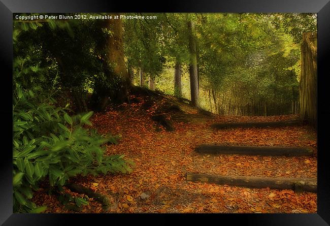 Autumn's Golden woodland Pathway #2 Framed Print by Peter Blunn