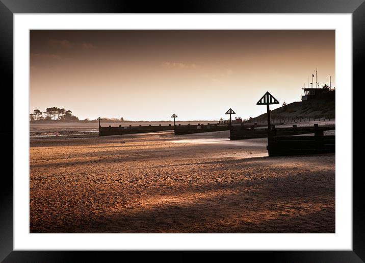 Copper Beach Framed Mounted Print by Stephen Mole