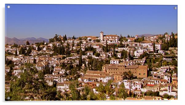 View over Granada Acrylic by barbara walsh