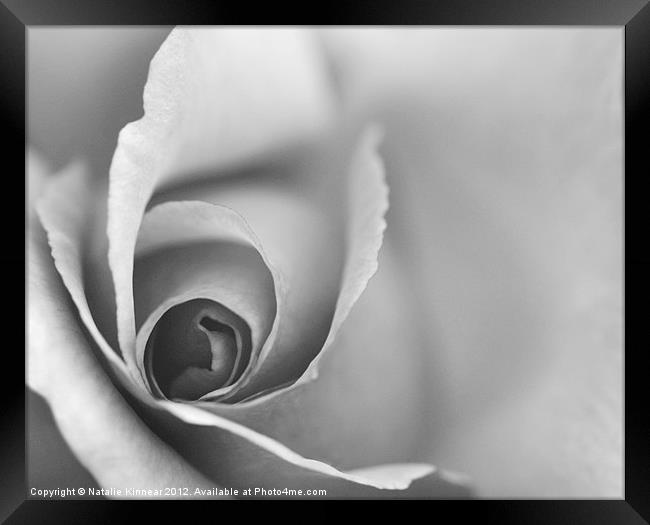 Romantic Black and White Floral Wall Art Framed Print by Natalie Kinnear