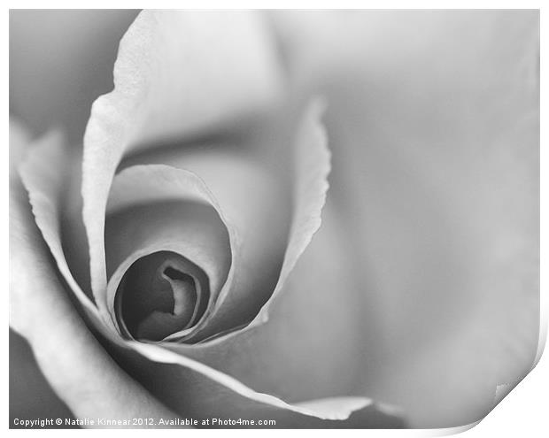 Romantic Black and White Floral Wall Art Print by Natalie Kinnear