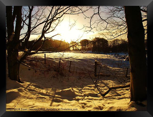 Winter Sunset Framed Print by Susan Jamieson