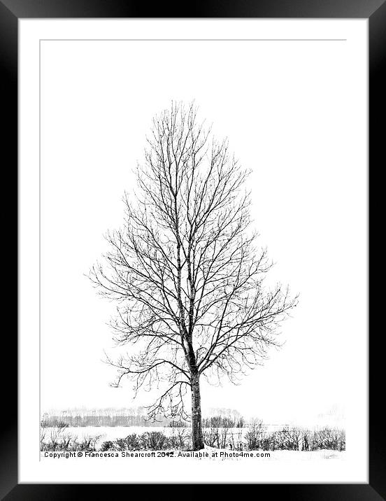 A tree in winter Framed Mounted Print by Francesca Shearcroft