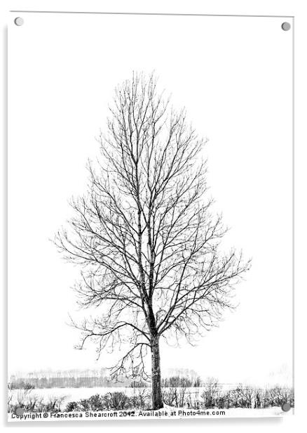 A tree in winter Acrylic by Francesca Shearcroft