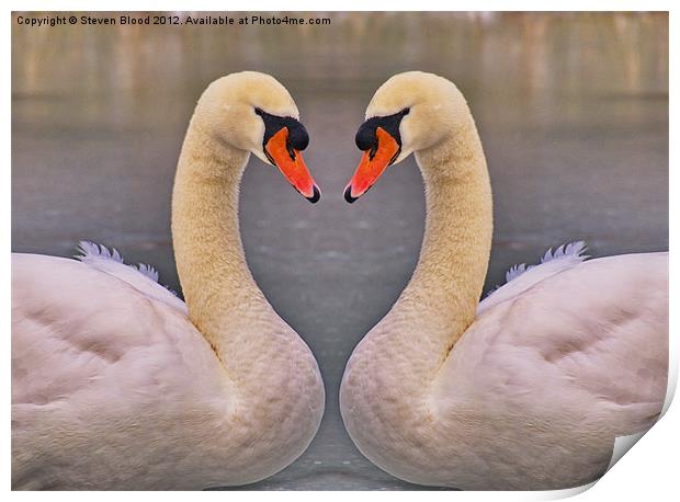 Swans on ice Print by Steven Blood