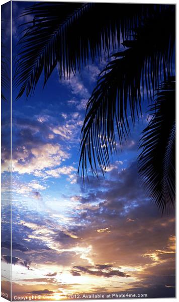 Breakfast in Hua Hin Canvas Print by Chris Frost