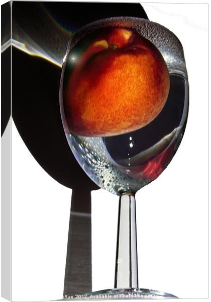 Peach glass Canvas Print by Doug McRae