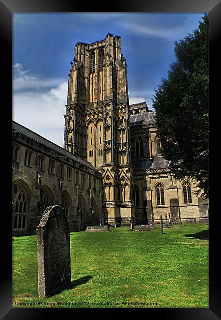 Wells cathedral 2 Framed Print by Sean Wareing