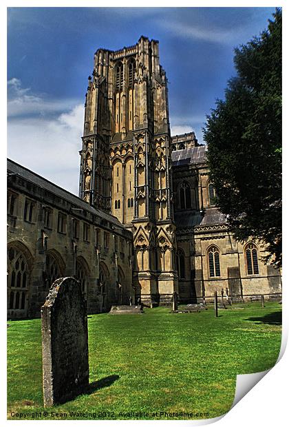 Wells cathedral 2 Print by Sean Wareing