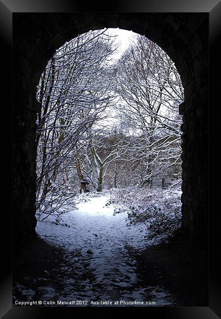 Winter Arch Framed Print by Colin Metcalf