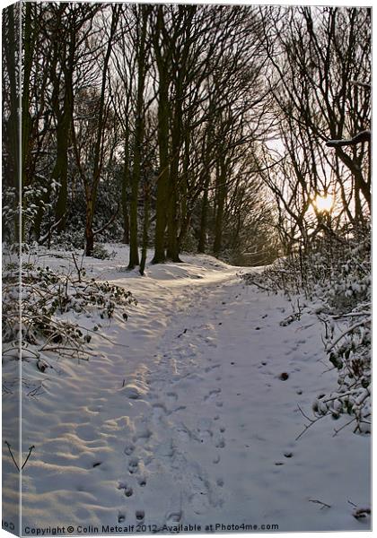 Snowy Winter Walk Canvas Print by Colin Metcalf