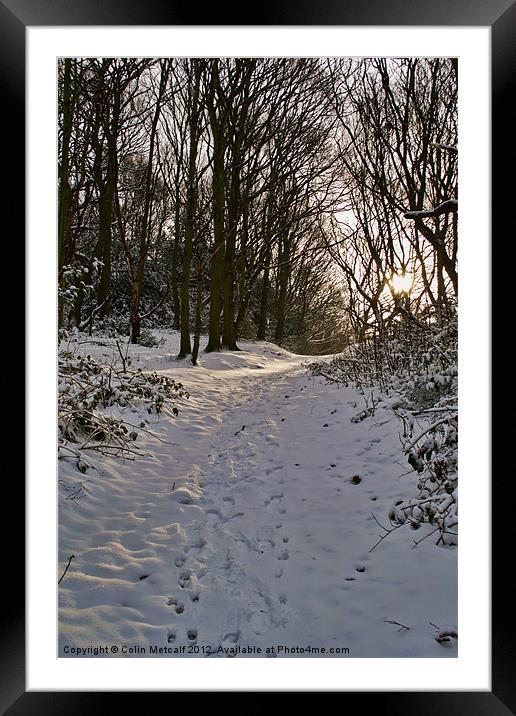Snowy Winter Walk Framed Mounted Print by Colin Metcalf