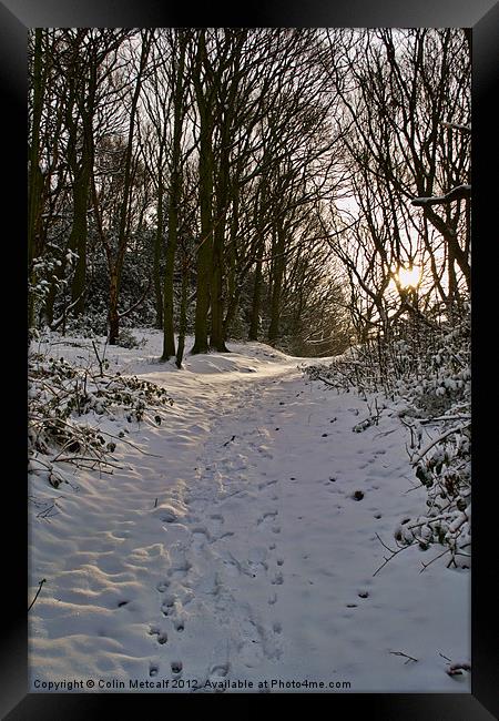 Snowy Winter Walk Framed Print by Colin Metcalf