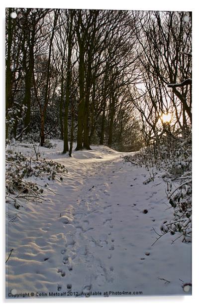 Snowy Winter Walk Acrylic by Colin Metcalf