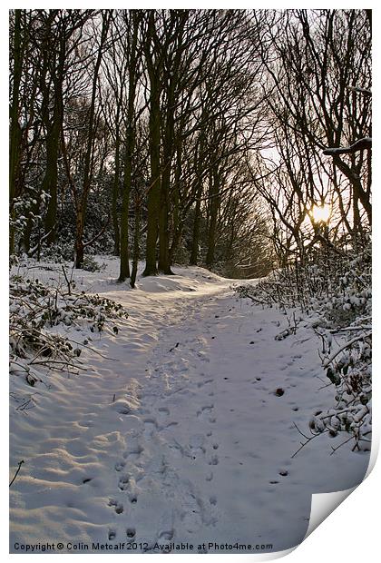 Snowy Winter Walk Print by Colin Metcalf