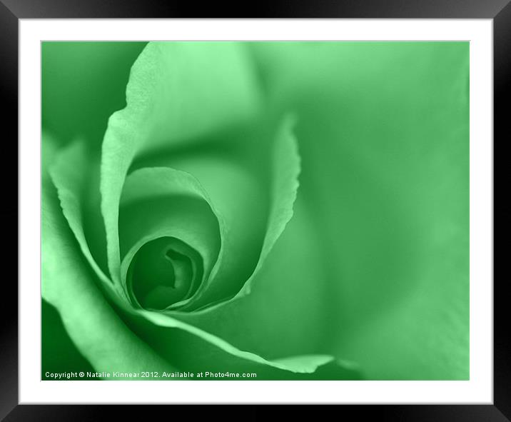 Lime Green Coloured Floral Wall Art Framed Mounted Print by Natalie Kinnear