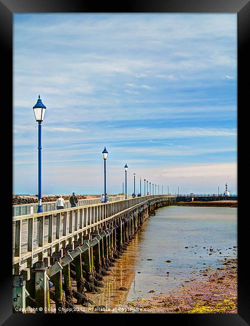 Amble pier and lighthouse Framed Print by Colin Chipp