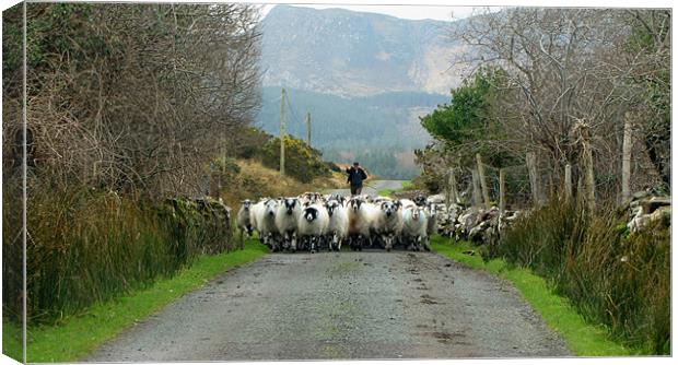 Lets go home... Canvas Print by barbara walsh