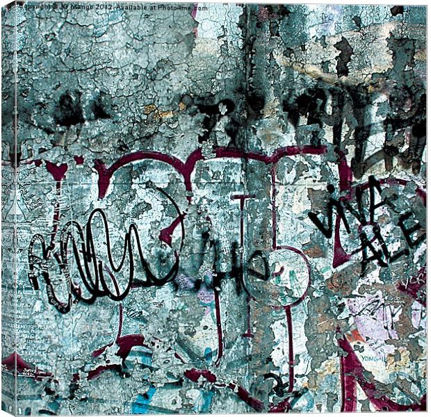Berlin Wall Number 8 Canvas Print by JG Mango