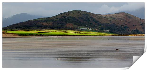 Brandon Bay Print by barbara walsh