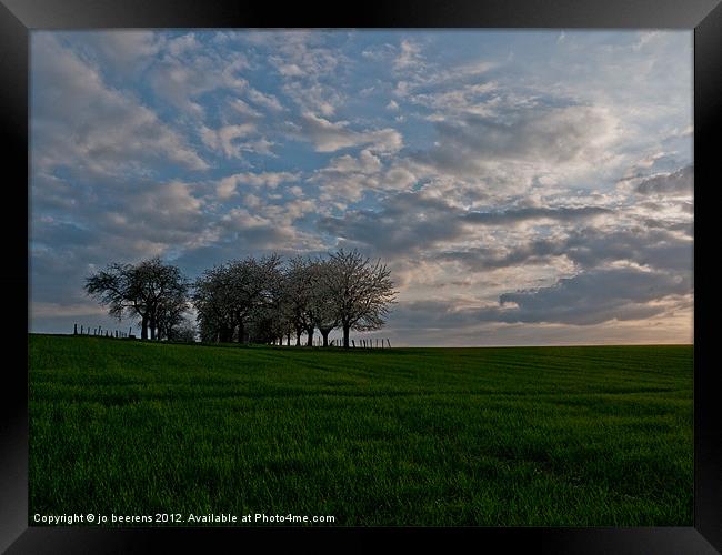 the grass is greener on the other side Framed Print by Jo Beerens