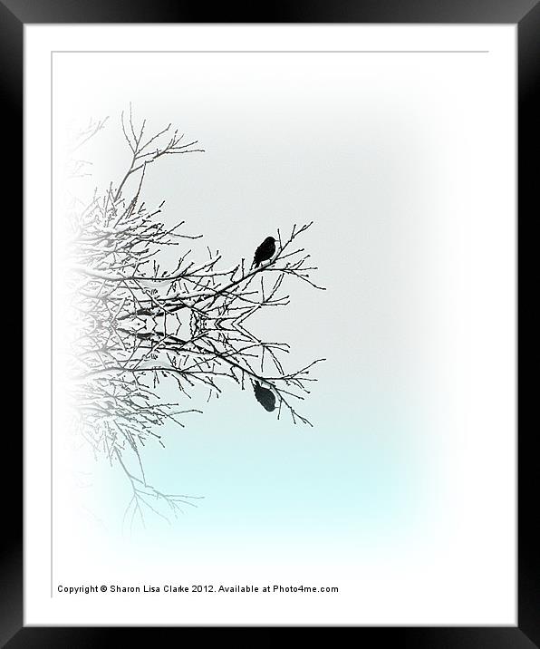 Winter Perch Framed Mounted Print by Sharon Lisa Clarke
