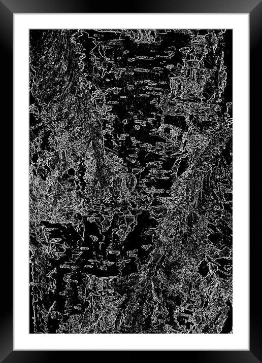 Beech Tree Digital art Framed Mounted Print by David Pyatt