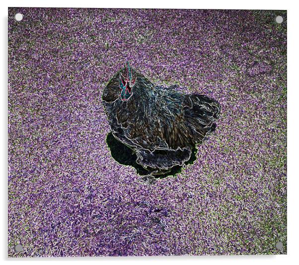 Purple Chicken Acrylic by Larry Stolle