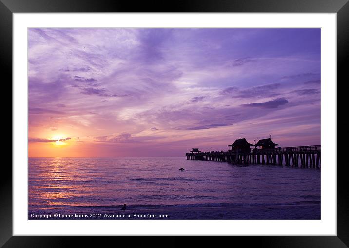 Purple Sunset Framed Mounted Print by Lynne Morris (Lswpp)