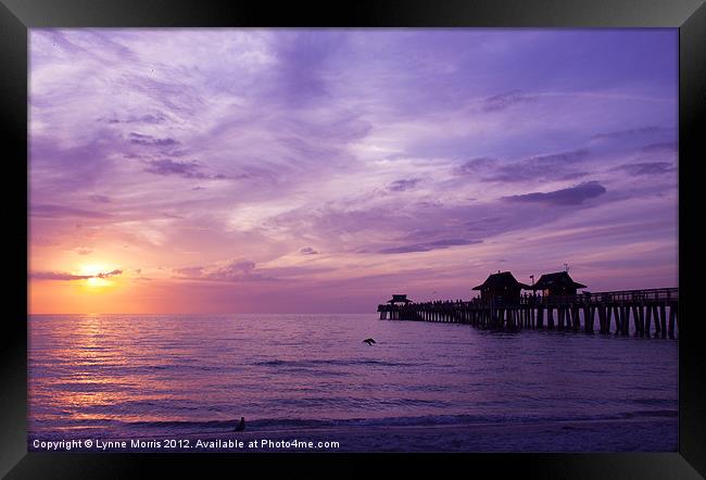 Purple Sunset Framed Print by Lynne Morris (Lswpp)