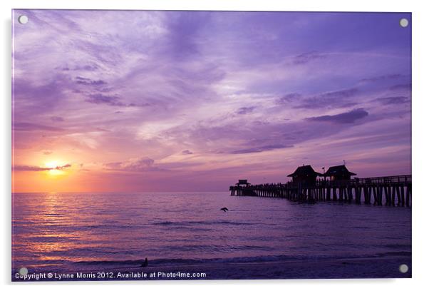 Purple Sunset Acrylic by Lynne Morris (Lswpp)