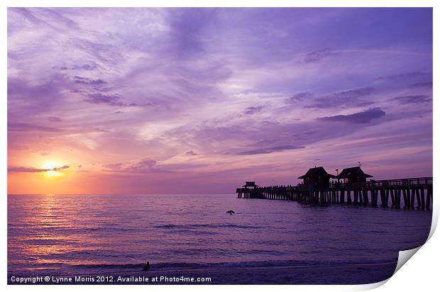 Purple Sunset Print by Lynne Morris (Lswpp)
