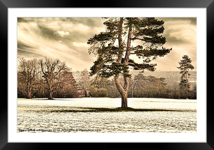 A WINTER OAKWOOD Framed Mounted Print by Rob Toombs