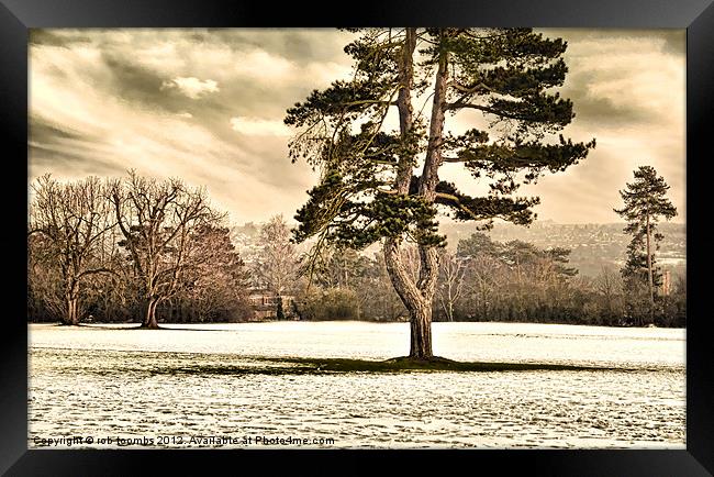 A WINTER OAKWOOD Framed Print by Rob Toombs