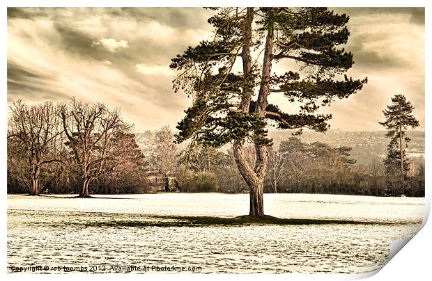 A WINTER OAKWOOD Print by Rob Toombs
