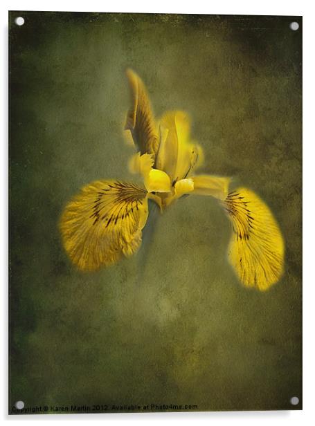 Yellow Iris Acrylic by Karen Martin