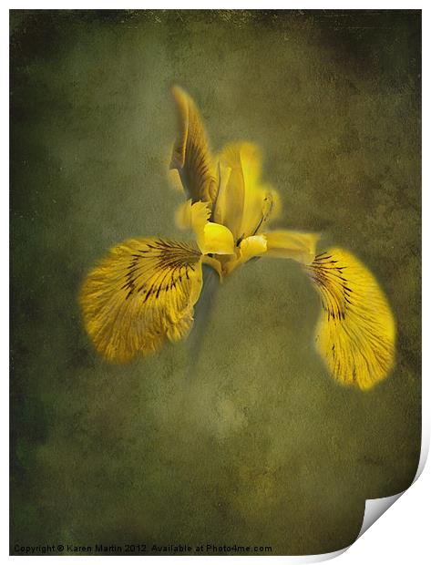 Yellow Iris Print by Karen Martin
