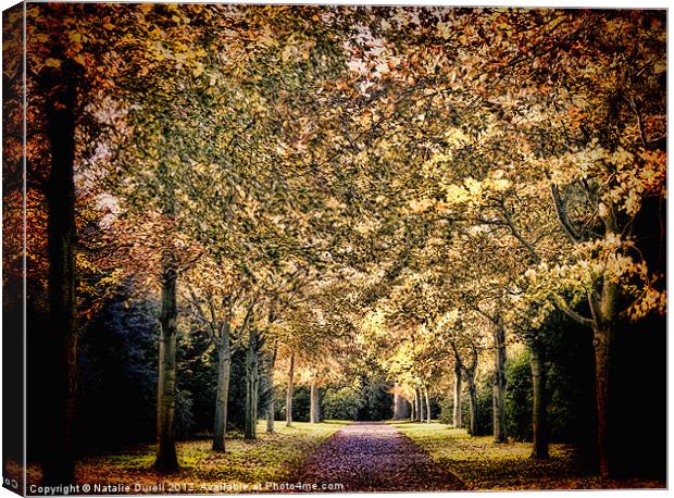 Avenue of Trees Canvas Print by Natalie Durell