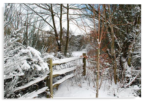 Winter in Sussex Acrylic by steve akerman