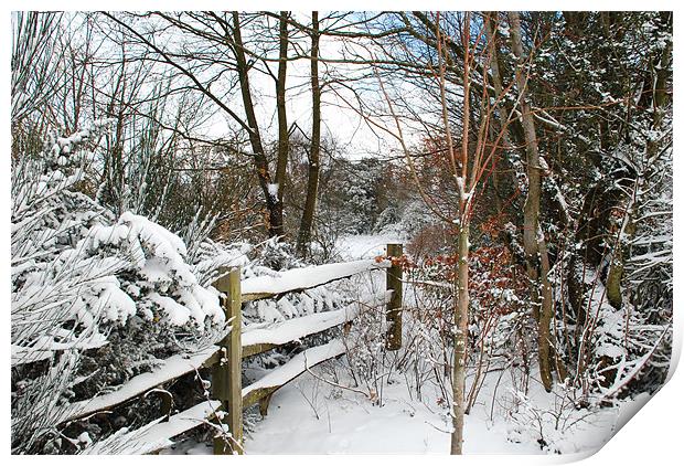 Winter in Sussex Print by steve akerman