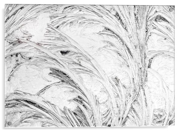 Black and White Frost Acrylic by Mary Lane