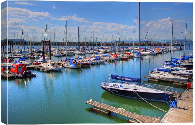 Port Edgar Marina Canvas Print by Tom Gomez