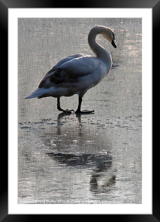 Walking on ice Framed Mounted Print by Doug McRae