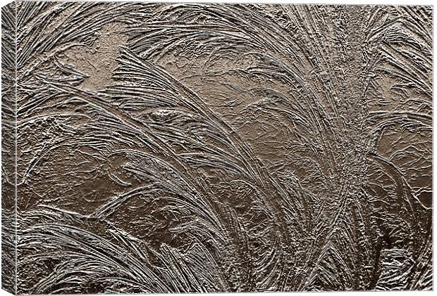 Metallic Frost Canvas Print by Mary Lane