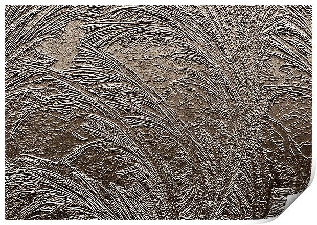 Metallic Frost Print by Mary Lane