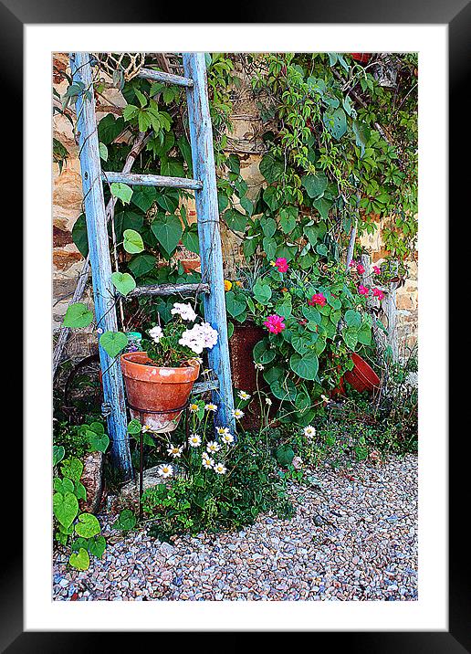 Rustic Farmhouse Flora Delight Framed Mounted Print by Graham Parry